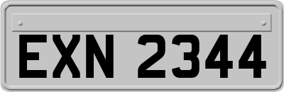 EXN2344