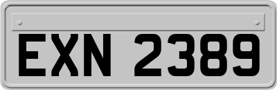 EXN2389