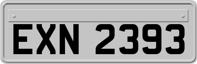 EXN2393