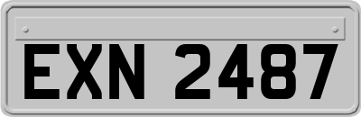 EXN2487