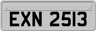 EXN2513