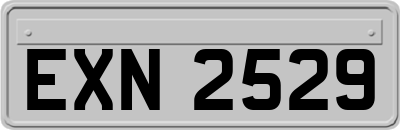 EXN2529
