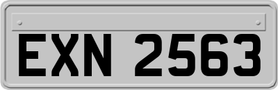 EXN2563