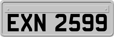 EXN2599