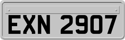 EXN2907