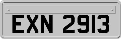 EXN2913