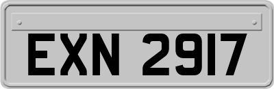EXN2917