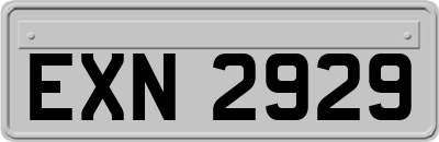 EXN2929