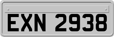 EXN2938