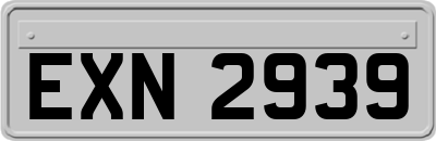 EXN2939