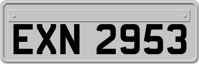 EXN2953
