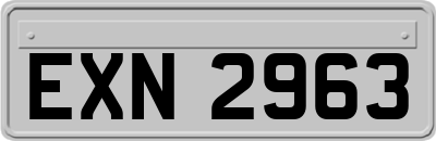 EXN2963