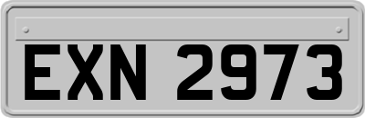 EXN2973