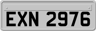 EXN2976