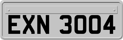 EXN3004