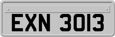 EXN3013