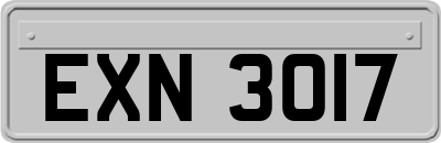 EXN3017