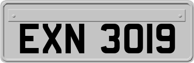 EXN3019