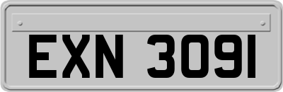 EXN3091