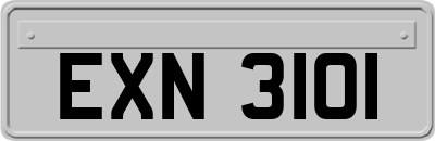 EXN3101