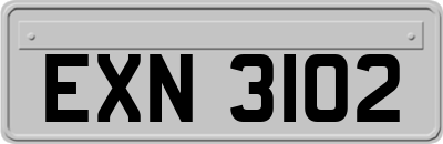 EXN3102