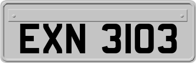 EXN3103