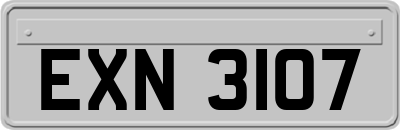 EXN3107