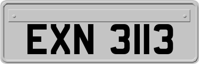 EXN3113