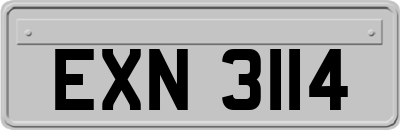 EXN3114