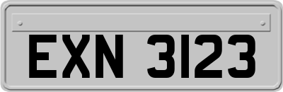 EXN3123