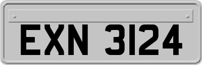EXN3124