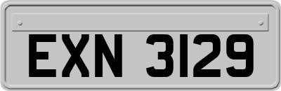 EXN3129
