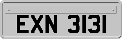 EXN3131