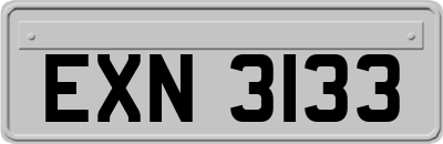EXN3133