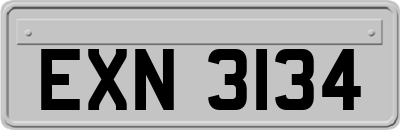 EXN3134