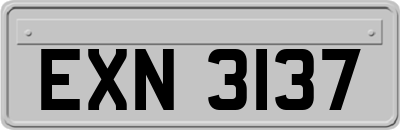 EXN3137