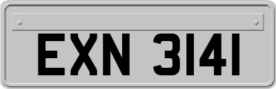 EXN3141