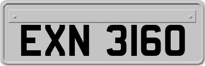 EXN3160