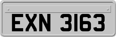 EXN3163