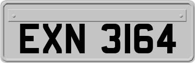 EXN3164