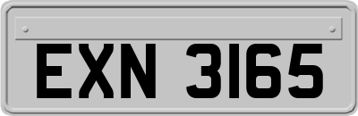 EXN3165