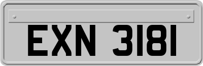 EXN3181