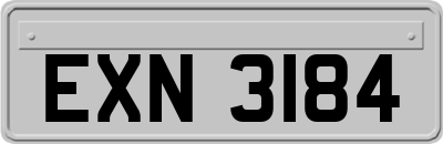 EXN3184