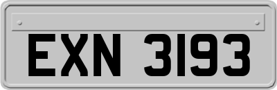 EXN3193