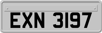 EXN3197
