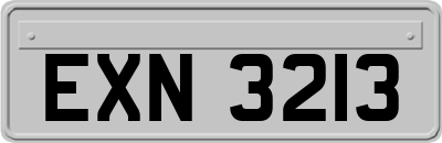 EXN3213