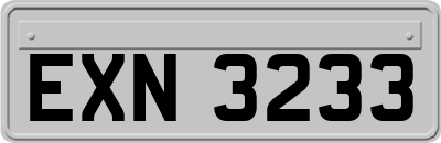 EXN3233