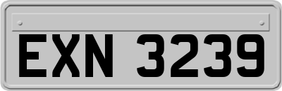 EXN3239