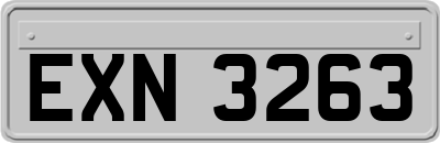 EXN3263
