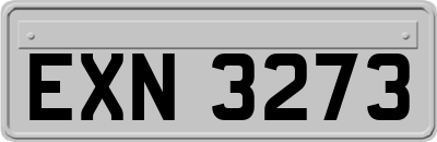 EXN3273